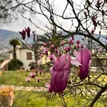 Casa Del Pino 4*