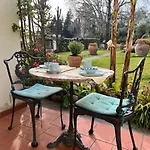 ベッド・アンド・ブレックファスト Casa Del Pino ボルゴ・ア・ブッジャーノ