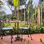 ベッド・アンド・ブレックファスト Casa Del Pino