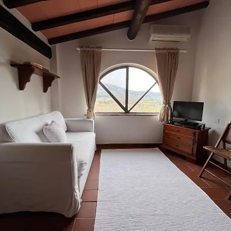 Casa Del Pino