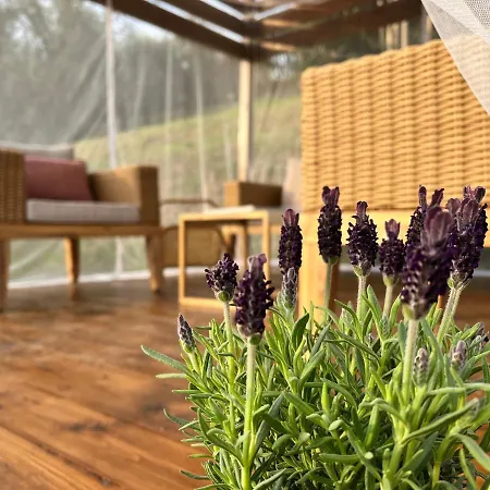 Bed & Breakfast Casa Del Pino