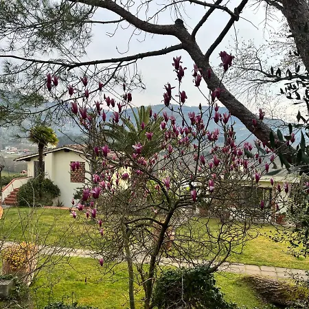Casa Del Pino Bed & Breakfast *