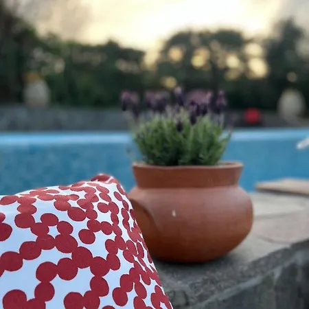 Bed & Breakfast Casa Del Pino