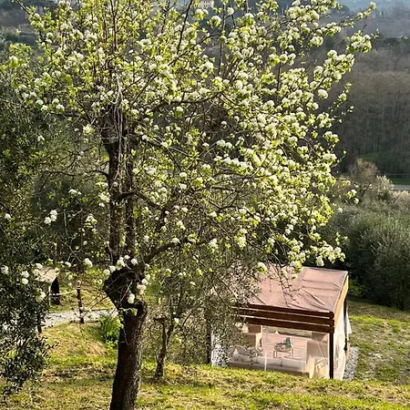 Casa Del Pino Bed & Breakfast
