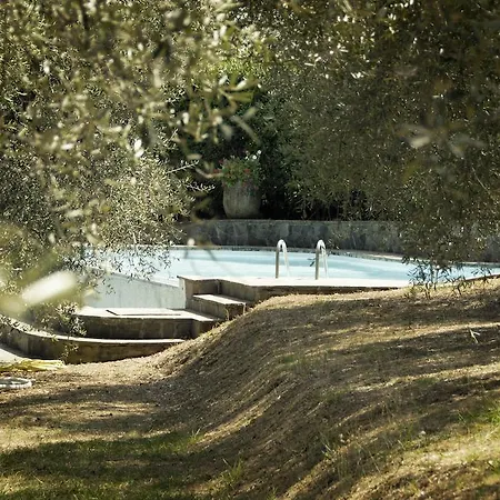 Casa Del Pino Bed & Breakfast Borgo a Buggiano